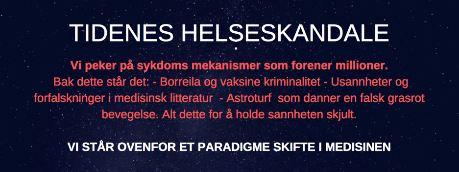 Skjermbilde 2018-12-01 kl. 11.54.19