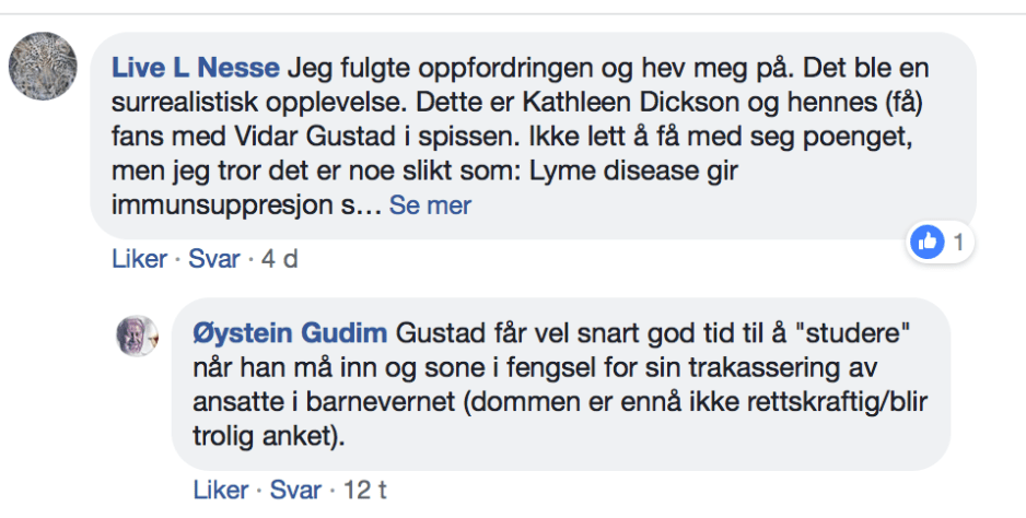 Skjermbilde 2018-11-28 kl. 20.57.07